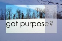 Got Purpose?