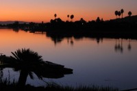 Serenity, Living in Courage Online