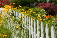 7 Ways to Mend Your Fences